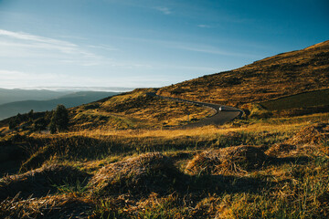 Naklejka premium Paisaje típico de los andes con carretera