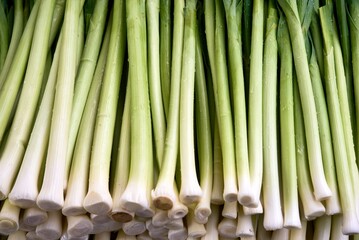 organic and fresh green leeks in the market . High quality photo