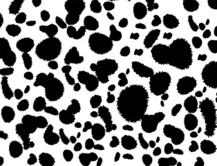 Dalmatian pattern Cow texture Animal skin template Spot background Vector design illustration Random bovine spots Farm animal textural banner Black chaotic spots isolated on white
