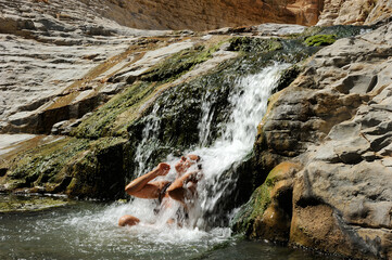 Fototapeta na wymiar Streams and waterfalls Nature Reserve Ein Gedi at the Dead Sea in Israel