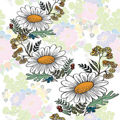 Floral background with flowers chamomile. Seamless pattern.