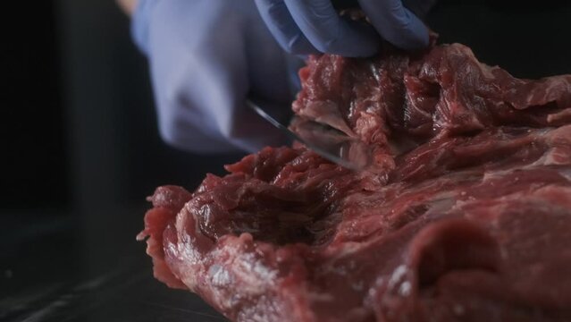 Closeup shot; restaurant chef cut raw meat; hands cutting, slicing delicate beef fillet; 4K