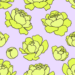 botanical floristic contour flowers peonies open buds .Trendy hand drawn vector isolated minimalistic  floral pattern. Seamless texture for web, textile and stationery. 