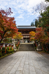 A lantern lined path with stairs leading up the the Kurama-dere Temple north of Kyoto, Japan on a fall morning.