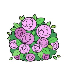 Lush rose bush color variation for coloring book isolated on white background