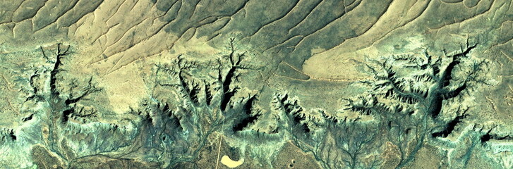 The Enchanted Forest ,tribute to Gauguin,   abstract photography of the deserts of Africa from the...