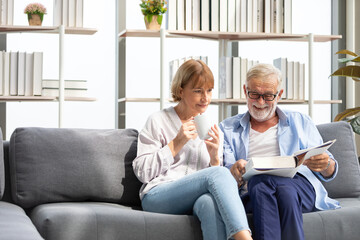 senior couple reading a book and self learning in living room