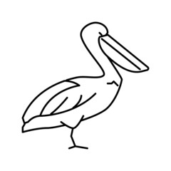 pelican wild bird line icon vector illustration
