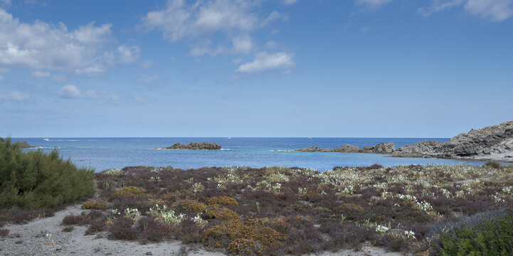 Psammophile plant communities in Cape of Favaritx, municipality of Mahon, Menorca, Spain