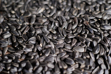 Sunflower seeds, back ground or texture, high detail