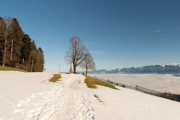 Obraz premium Mist of fog over the swiss and austrian mountains