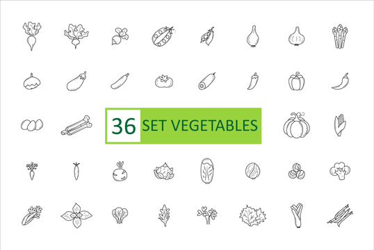 Vegetables icon set. Simple concise images of vegetables. Collection of icons in outlines. Vegetarianism. Cucumber, tomato, pumpkin, celery and others. Vector, eps 