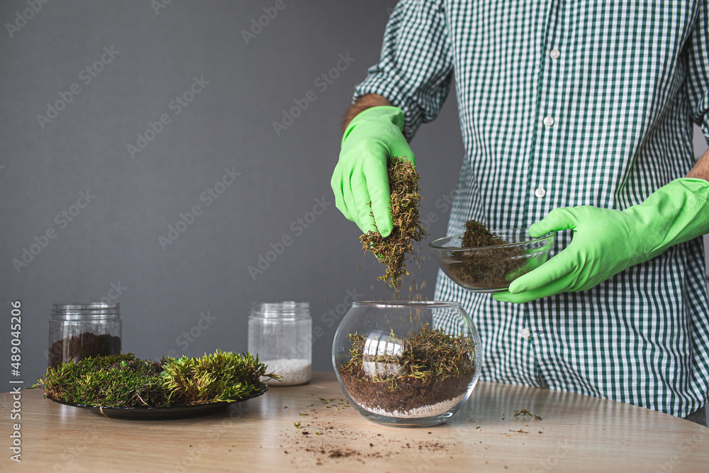 Wall mural close-up of hands in gloves pour moss into the florarium.