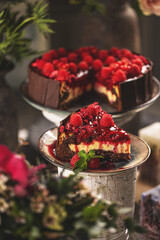 Slice of chocolate vanilla cake with raspberry jelly
