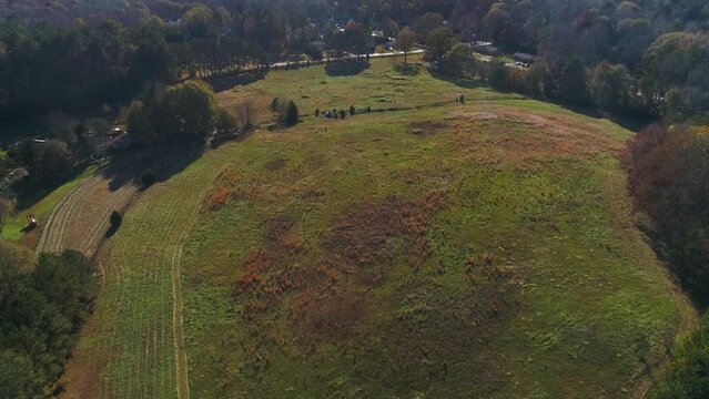 Drone aerial circle view of green open pasture between woods