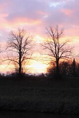 Fototapeta na wymiar Sunset behind the trees