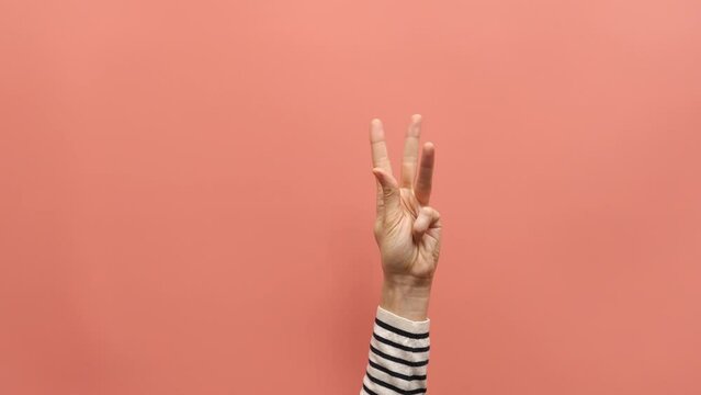 Female hand raising up and counting from 0 to 5 on pink background. Woman shows one, two, three, four, five fingers and bends fingers, counting from five to one. Close up. 4k video