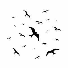 bird silhouette Red Kite free flying in the sky