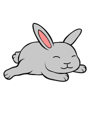 Kleiner süßer Hase 