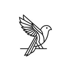 Monoline bird logo design template