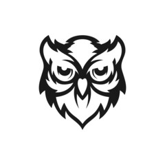 Owl Logo Owl Head Owl Icon 