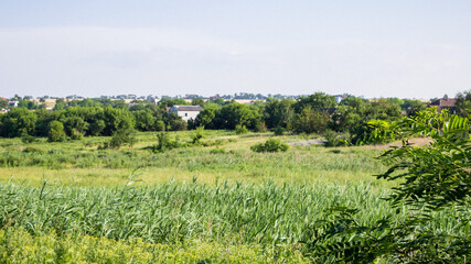 summer landscape in the countryside on a sunny morning, summer, meadow