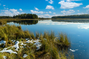 View from a marshy shoreline of an early winter lake. - 489054081