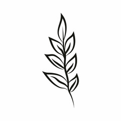 Leaf logo design, vector natural concept inspiration, leaf icon. Leaves