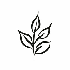Leaf logo design, vector natural concept inspiration, leaf icon. Leaves
