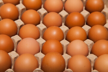 Brown chicken eggs are in a cardboard tray.