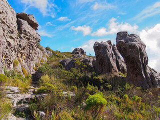 View of the rocks at the Table Mountains, South Africa
