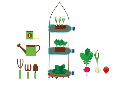 Ilustración vectorial del reciclado y la reutilización. Botellas recicladas de plástico utilizadas para plantar semilleros, rábano, fresa, ajo. Jardinería vertical. Reducción de residuos