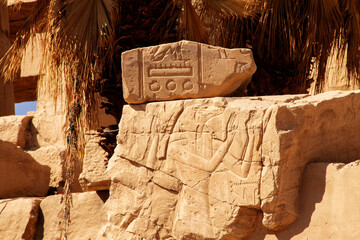 Egypt Tour, Luxor, January 2022