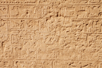 Egypt Tour, Luxor, January 2022