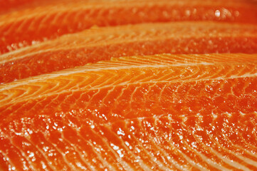 Close up of Salmon fillets