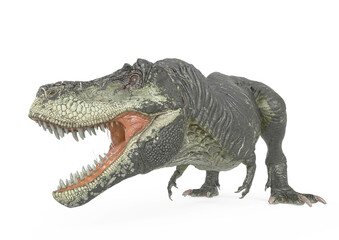 tyrannosaurus rex is looking to the side in white background