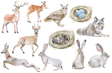 Hand drawn forest animals. Wild animals on a white background. Hare, bear, deer, roe deer, owl, fox, wolf. For cards, stickers, posters, planners, scrapbooking
