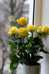 Yellow roses on the windowsill. Congratulations on the holiday