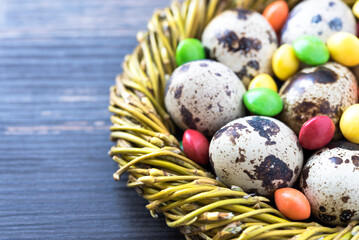 Quail eggs and multicolored candies in a nest from willow branches close up. Copy space. Easter card. Top view
