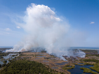 Fototapeta na wymiar Aerial View of a Grass Fire in Florida. Tampa Bay in the Background