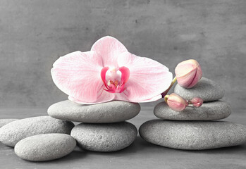 Flat lay composition with spa stones, orchid pink flower on grey background.