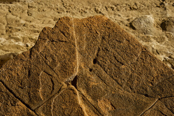 Beach Rock Surface