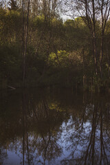 dark gloomy spring landscape with lake and forest reflection