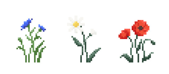 Set of Pixel art flowers. Vintage 90s gaming 8 bit icon of red poppy, chamomile and knapweed flowers. Vector pixel filed and wild flowers for game and print - obrazy, fototapety, plakaty