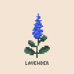 Fototapeta premium Pixel art lavender. Vintage 90s gaming 8 bit icon of lavender flower. Vector pixel lavender game pattern.