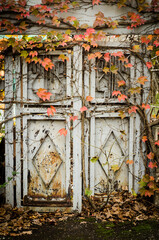 old rusty door
