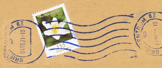 briefmarke stamp blume flower weiss white buschwindröschen wood anemone 155 vintage retro alt old...
