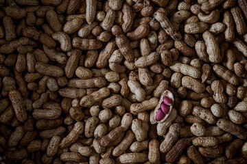 Photos of a lot of peanuts in the shell