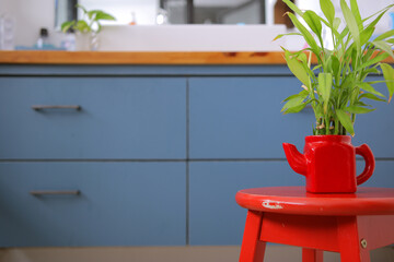 red teapot with plant on red chair and blue background