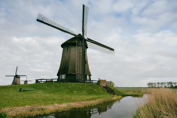 Holandia © Wodzownik